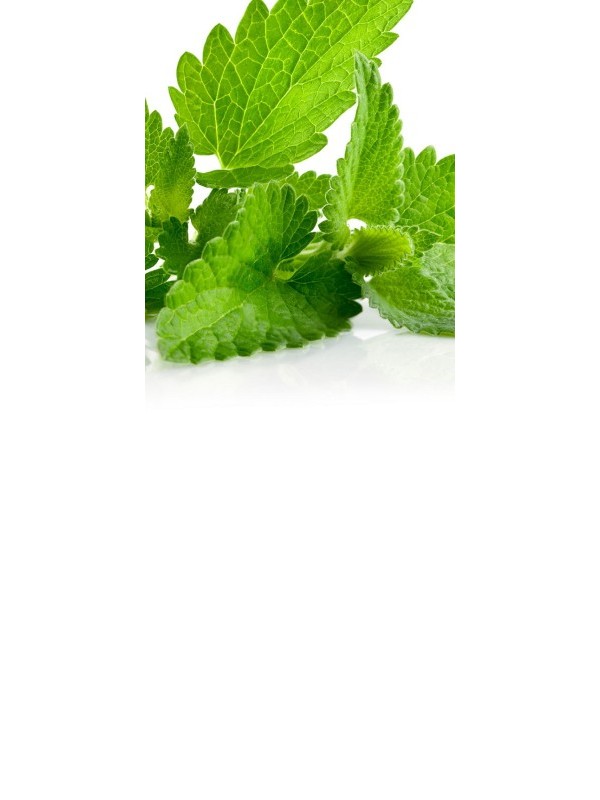PEPPERMINT essential oil