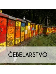 CEBELARSTVO